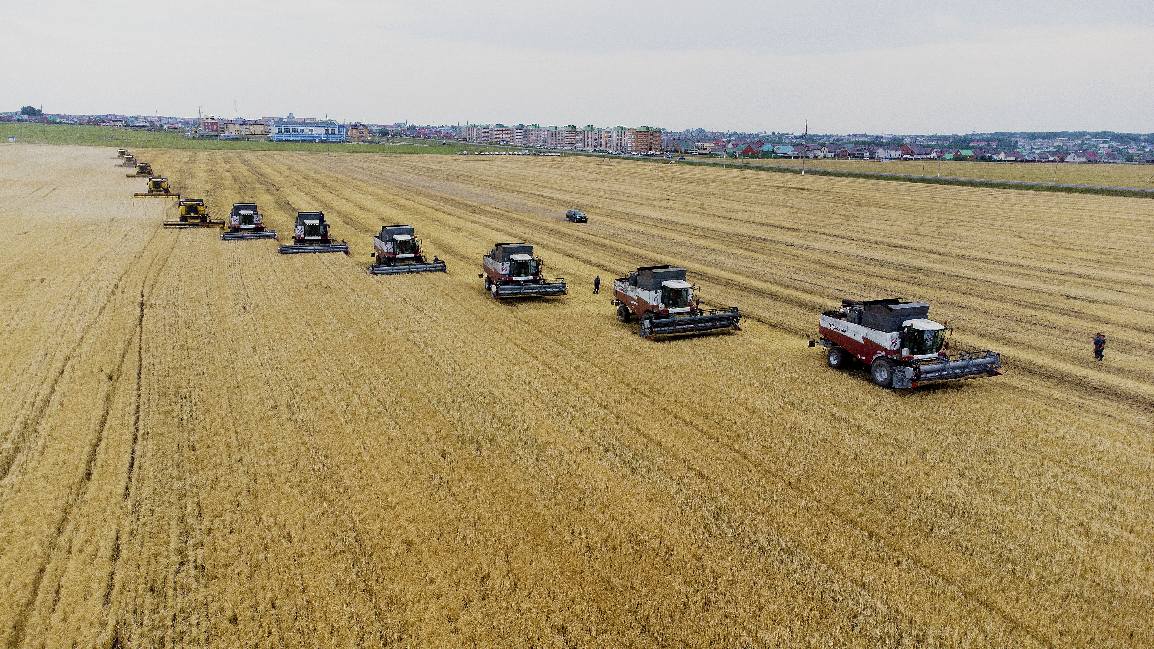 Уборка зерна. Татарстан урожайность. Засуха пшеница. Сельхоз татарстан. Сельское хозяйство рт.